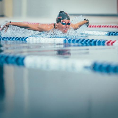 butterfly swimming