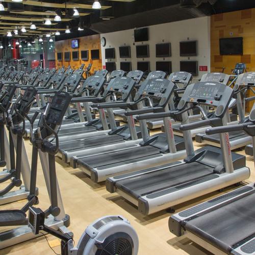 Fitness First Burjuman Center cardio machines